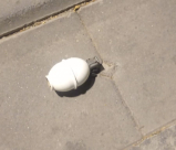 يافا: بعد منتصف الليلة - القاء قنبلة يدوية لم تنفجر 